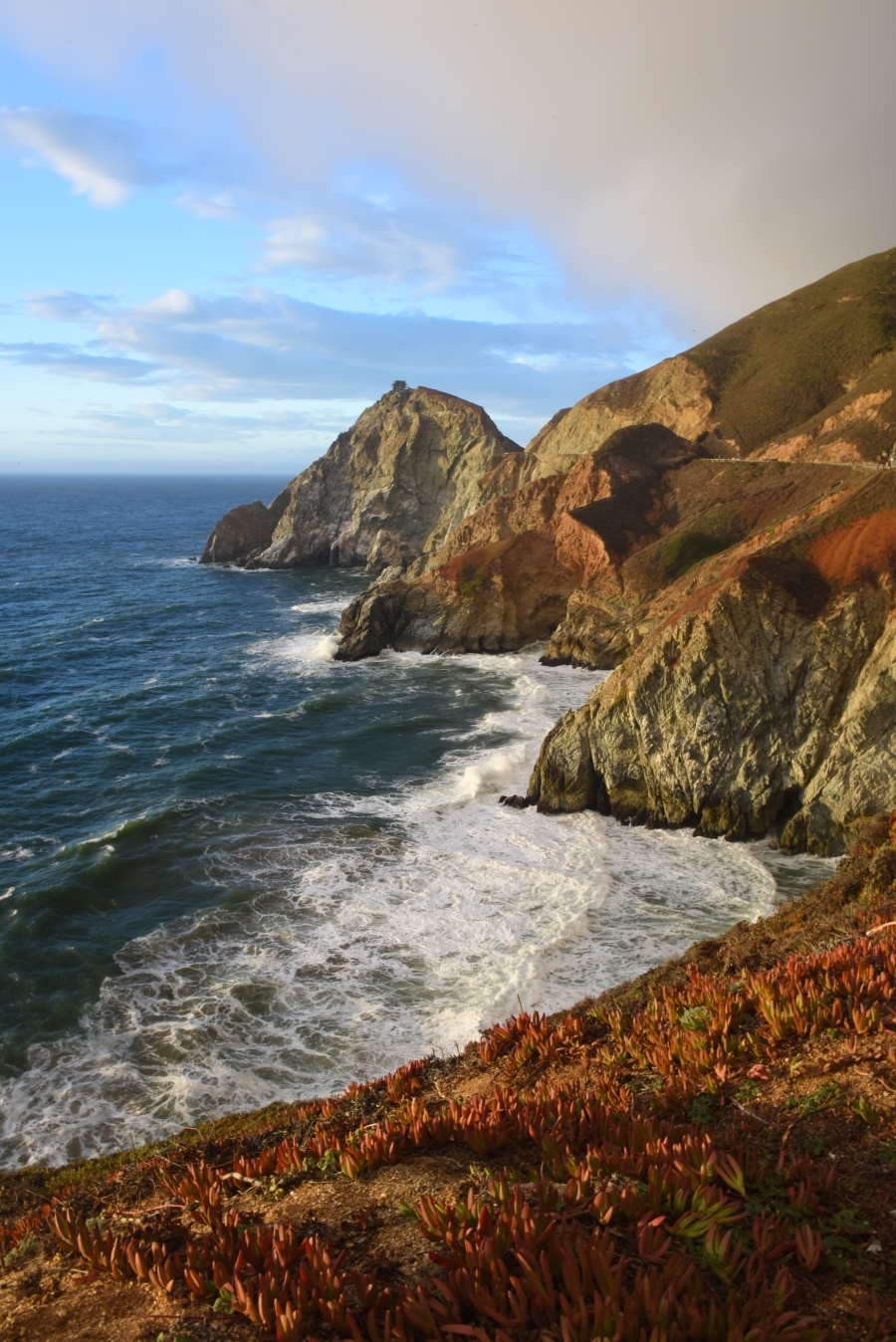 Autumn-Half Moon Bay, CA